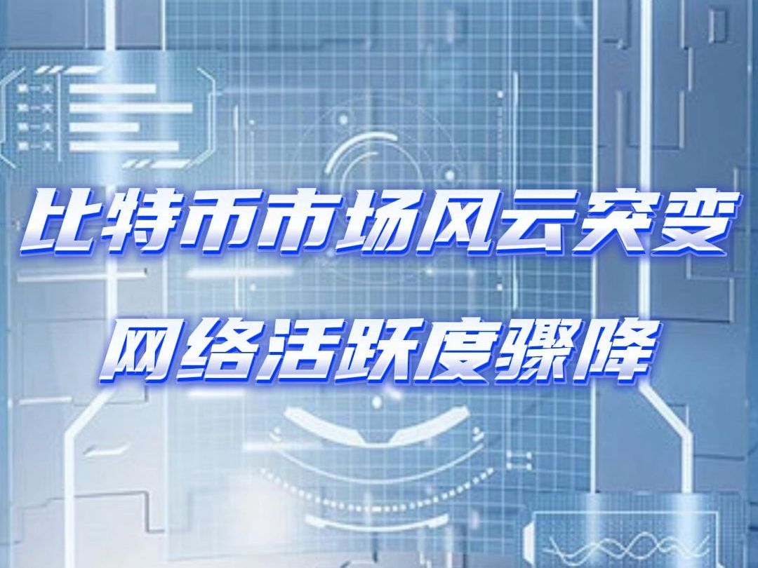 比特币交易网络平台(“比特币交易网”)
