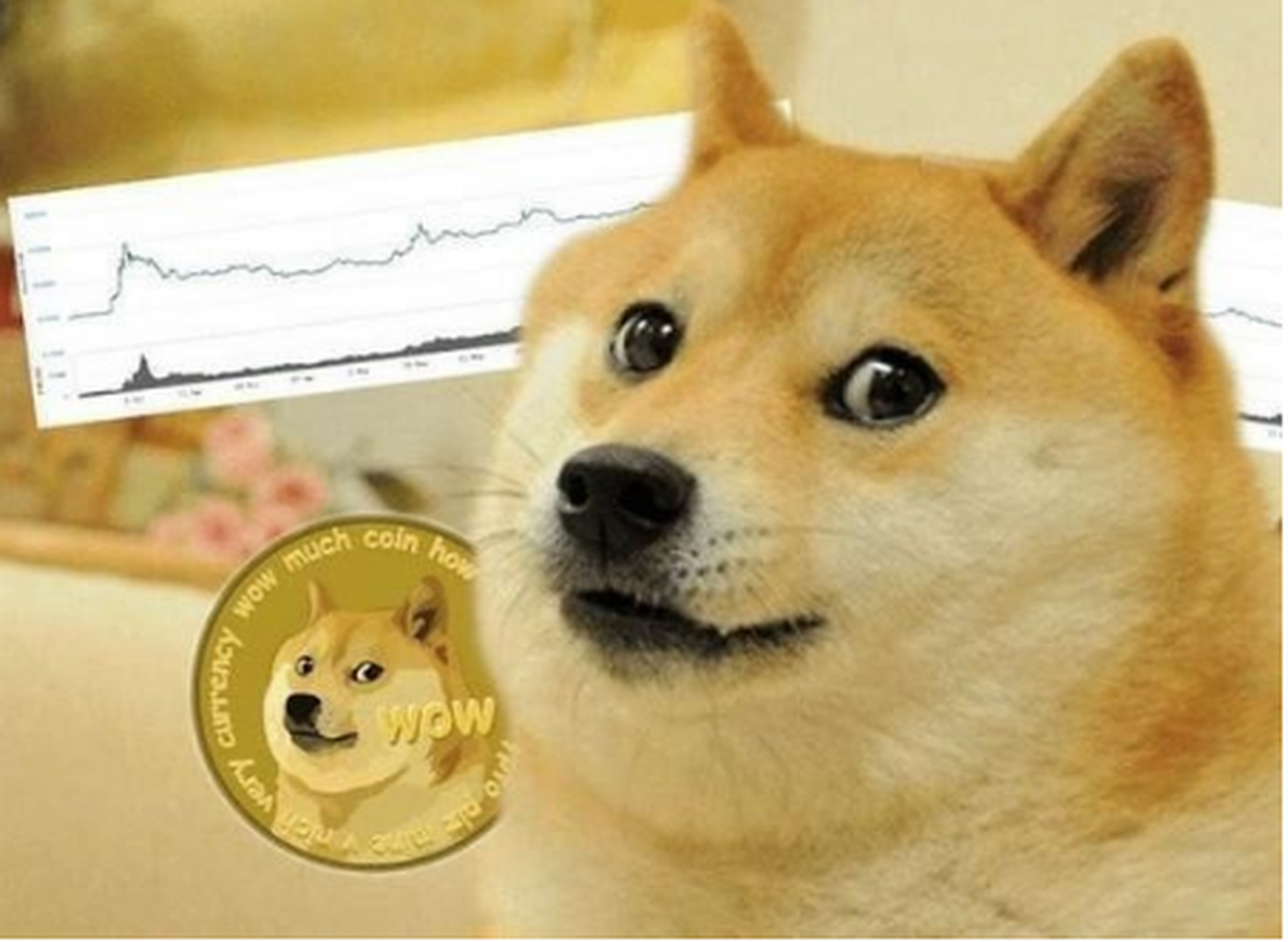 coin(counting stars)