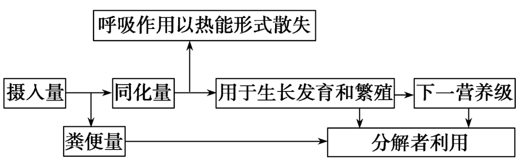 通道化什么意思(什么叫通道)