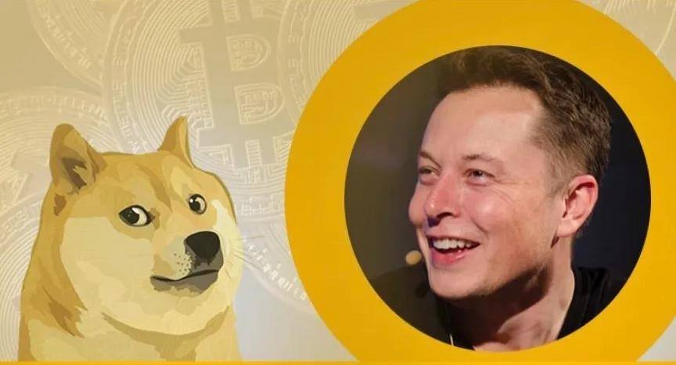 狗狗币钱包(狗狗币钱包下载官网手机版)