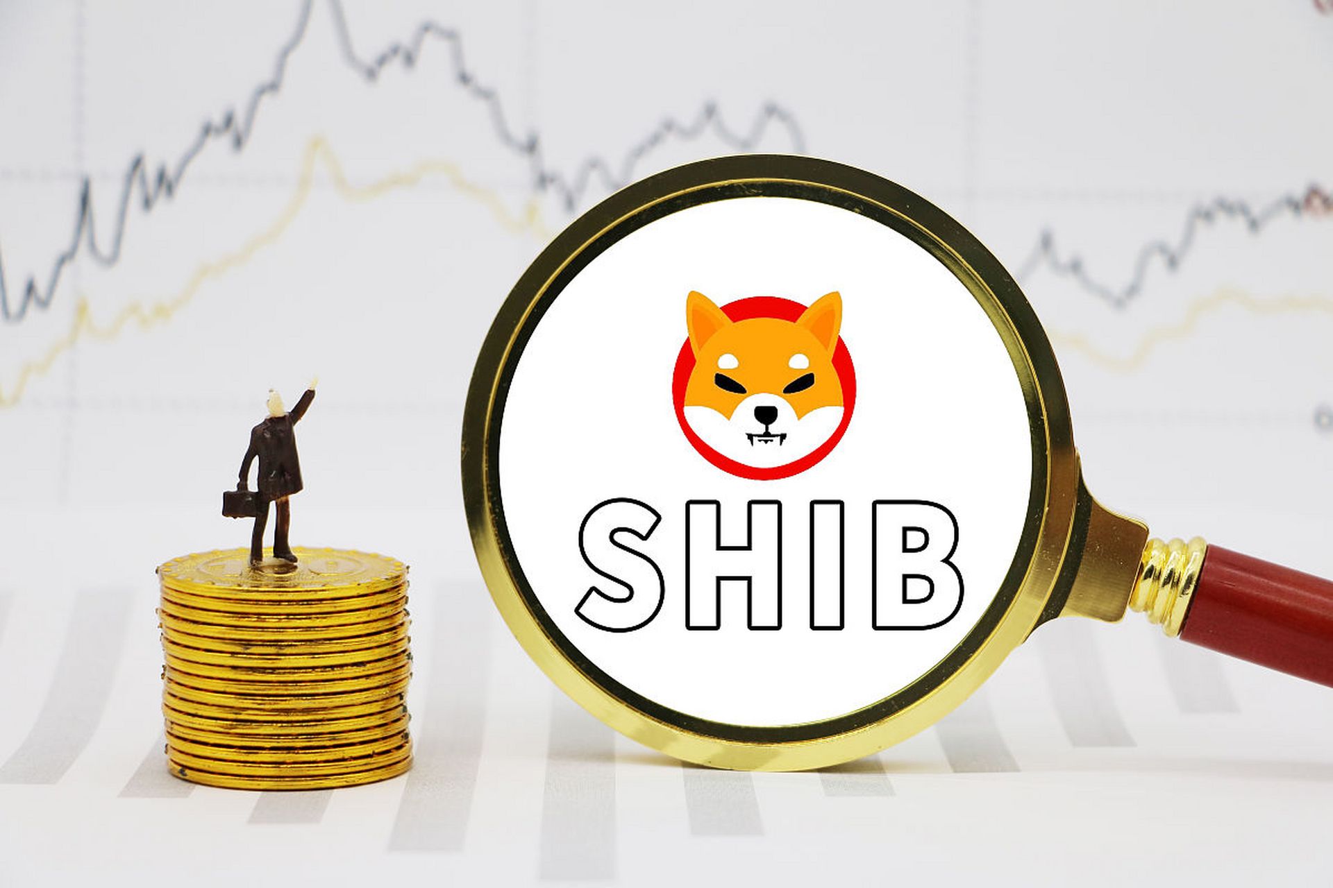 dogecoin官网(dogz官网)