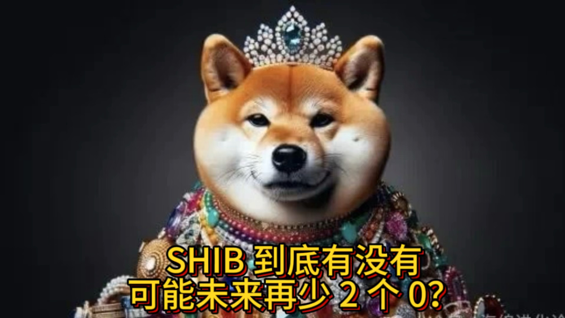 shib论坛(sbu论坛)