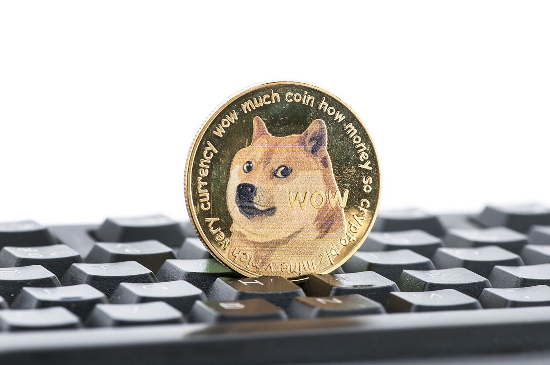 柴狗币(柴狗币行情最新价格走势图)