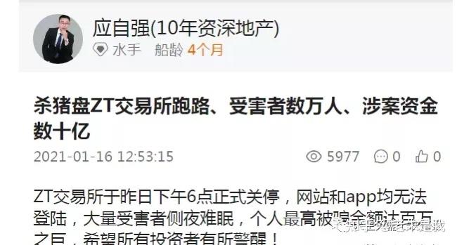 zt交易所官网维护(zt交易所htmoon)