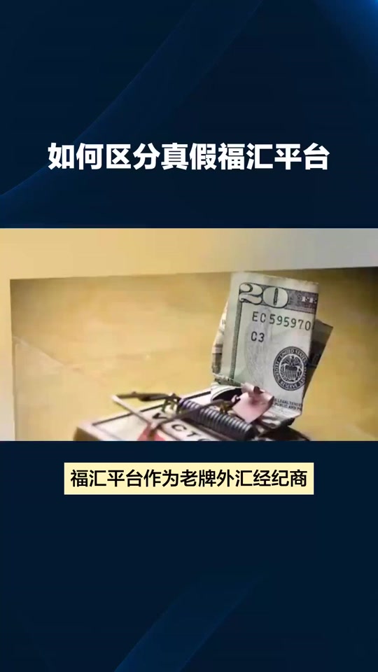 福汇外汇平台官网(福汇外汇平台app下载)