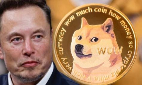 狗币有几种(狗币的种类)