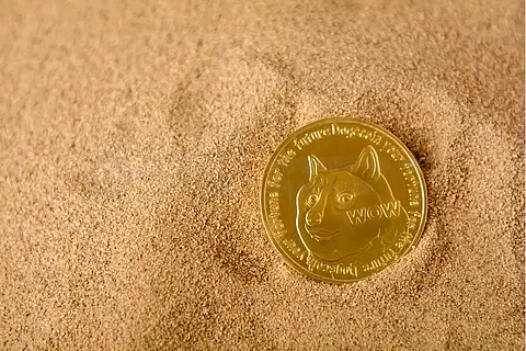 宝贝狗币(狗币1个等于多少人民币)