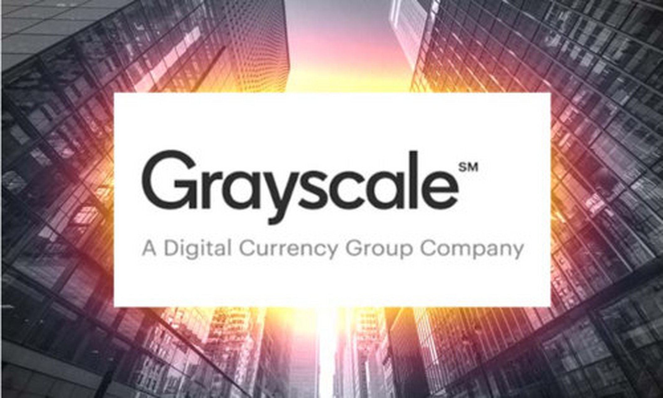 比特尔官网(比特尔平台官网) 比特尔官网(比特尔平台官网)