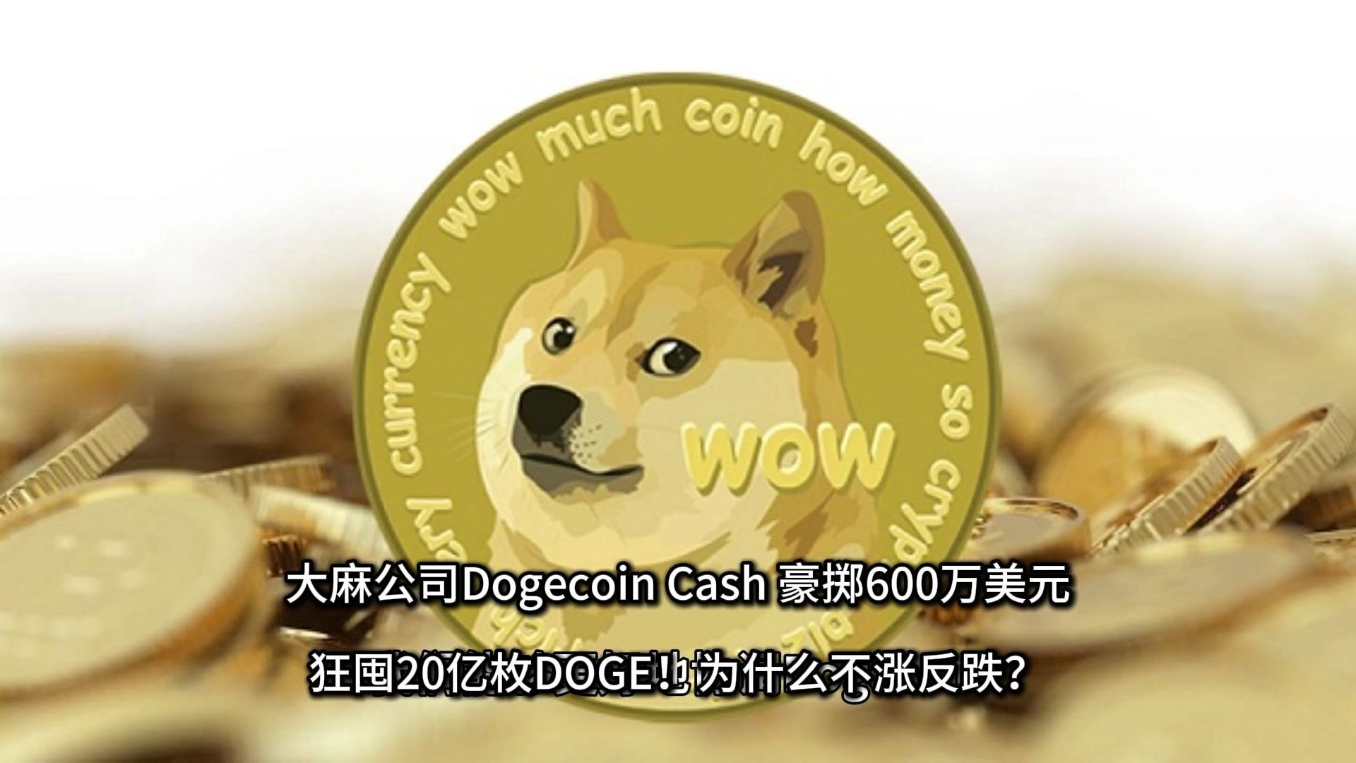 doge币怎么买(dogcoin怎么买) doge币怎么买(dogcoin怎么买)