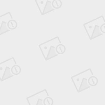 追板是什么(追板是什么意思)