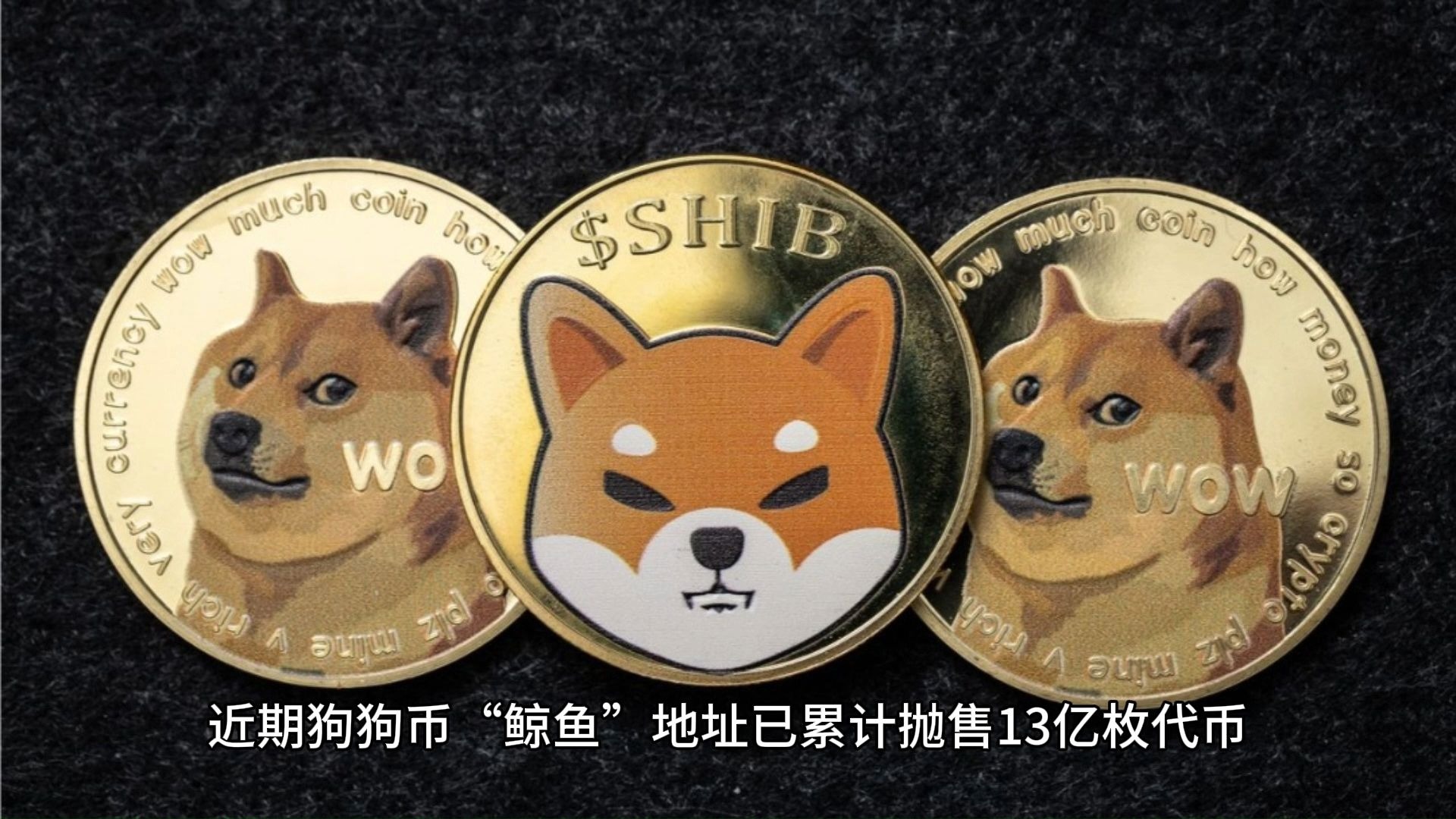 狗币最新价格(狗币最新价格今日行情)