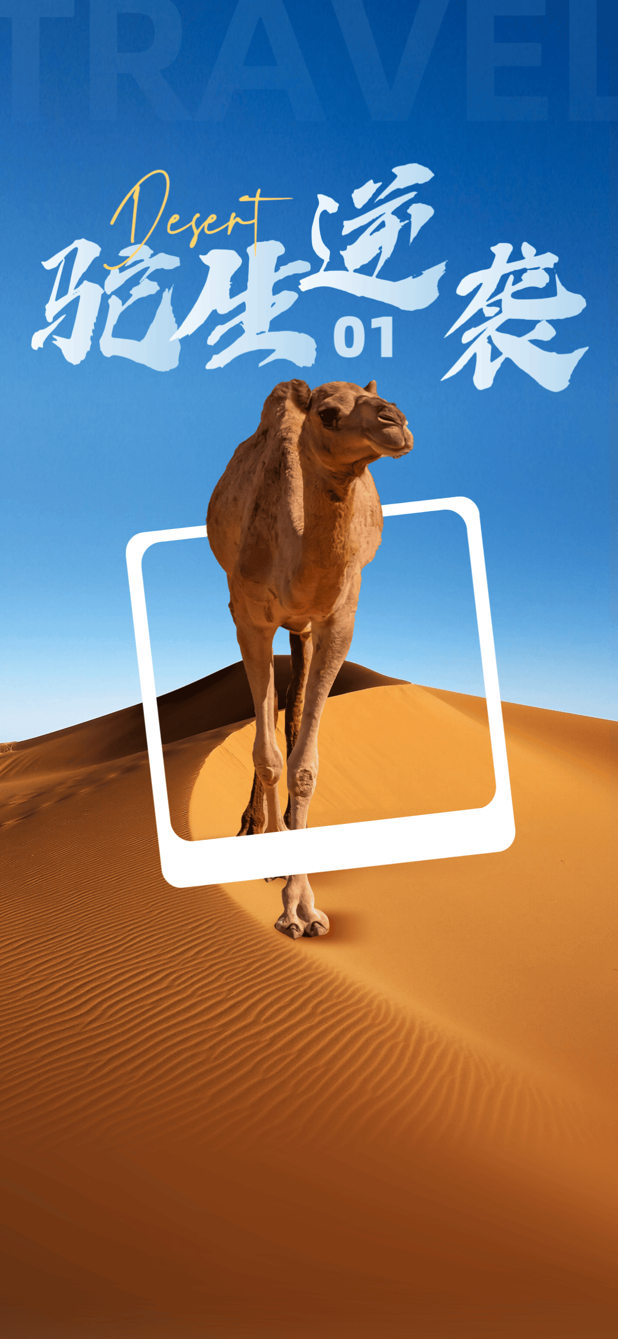 骆驼的象征意义是什么(骆驼的寓意和象征意义)