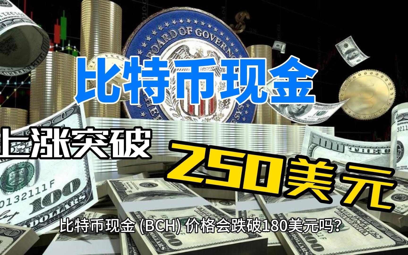 bch价格走势(bch价格行情)