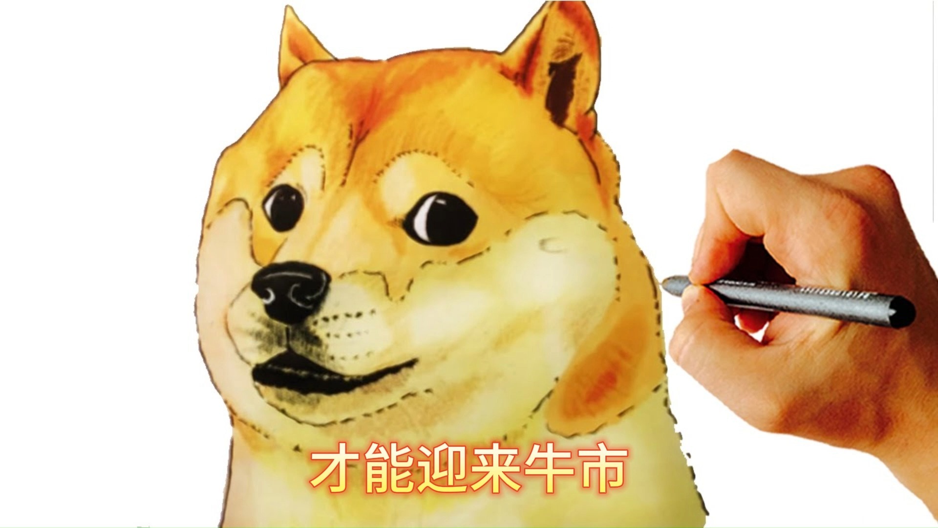 doge吧(dogeball) doge吧(dogeball)