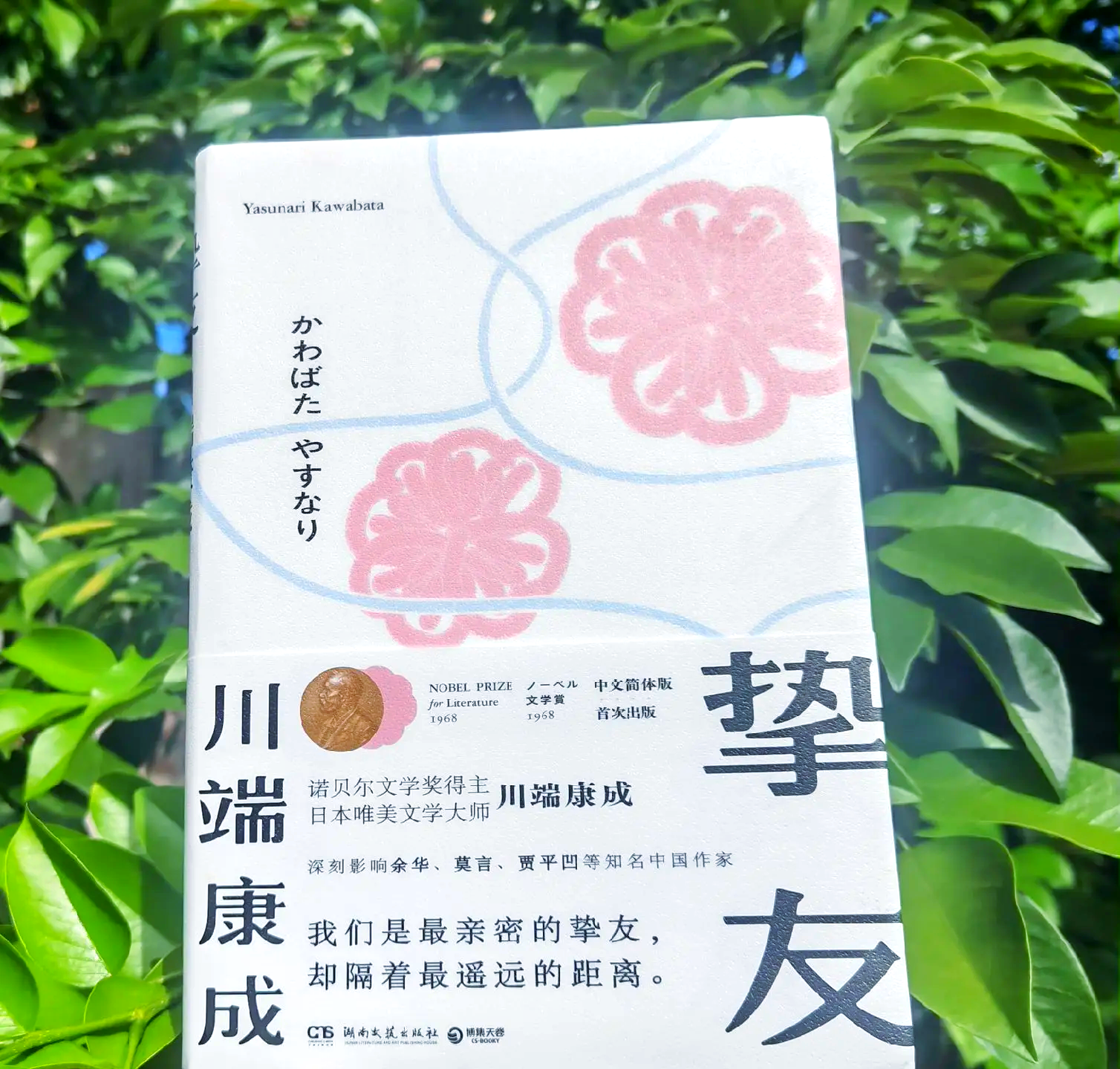 挚念什么意思(挚念二字的含义)