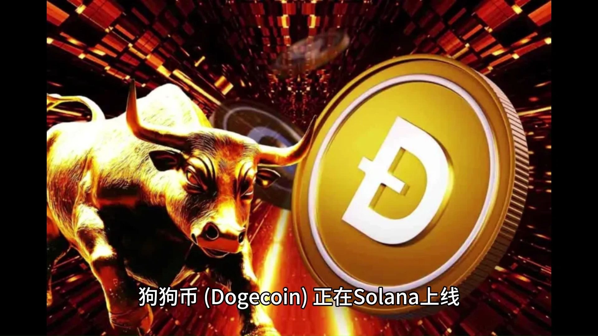 doge币价格(doge币价格今日行情非小号)