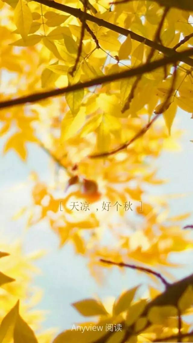 紧随其后是什么意思(紧随其后下一句) 紧随其后是什么意思(紧随其后下一句)