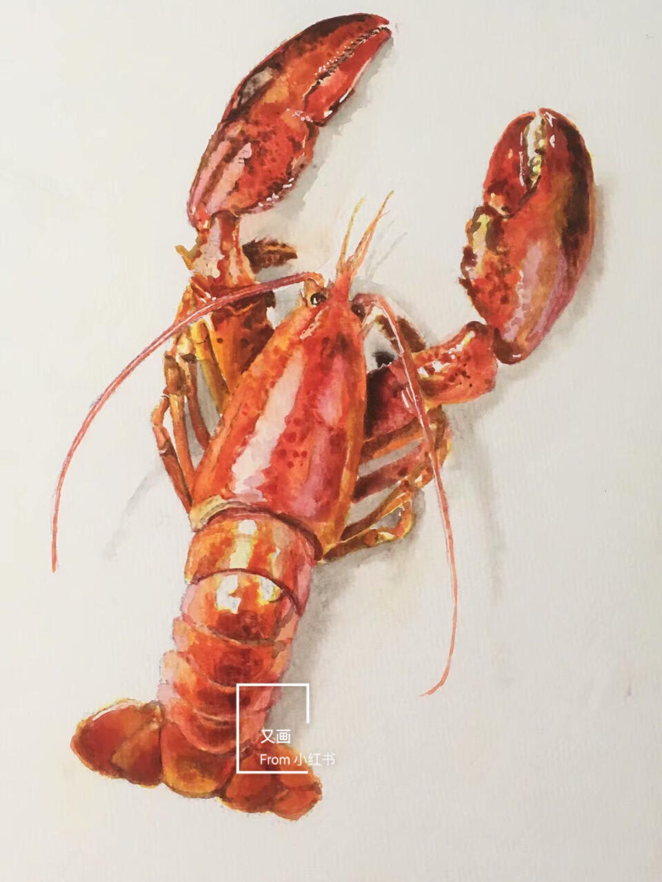 汇制什么意思(汇制的意思) 汇制什么意思(汇制的意思)