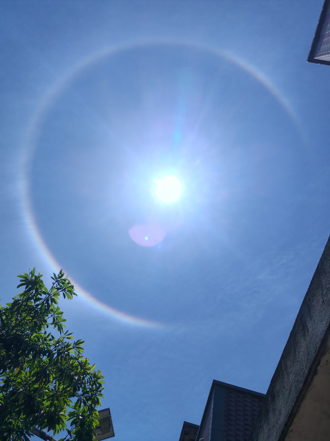 光环代表什么意思(光环代表什么意思网络用语) 光环代表什么意思(光环代表什么意思网络用语)