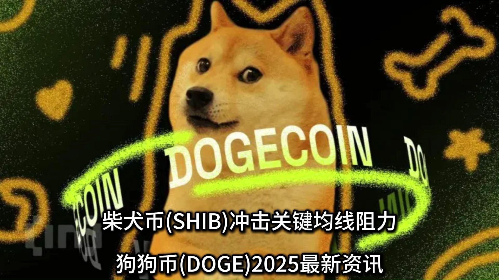 doge最新消息(dogecola最新消息) doge最新消息(dogecola最新消息)