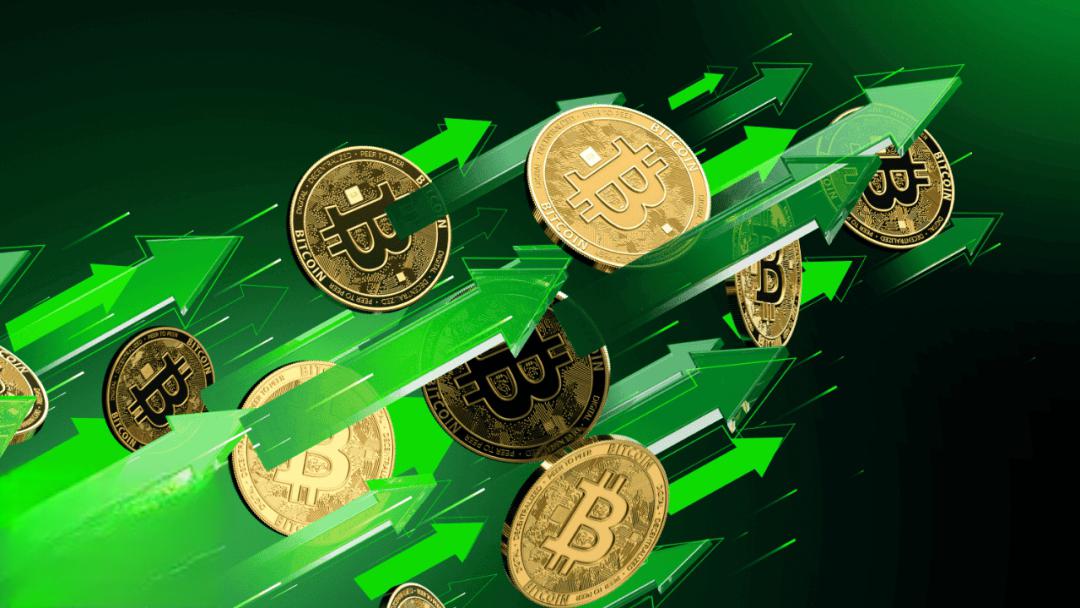 btc中国(BTC中国第一人)